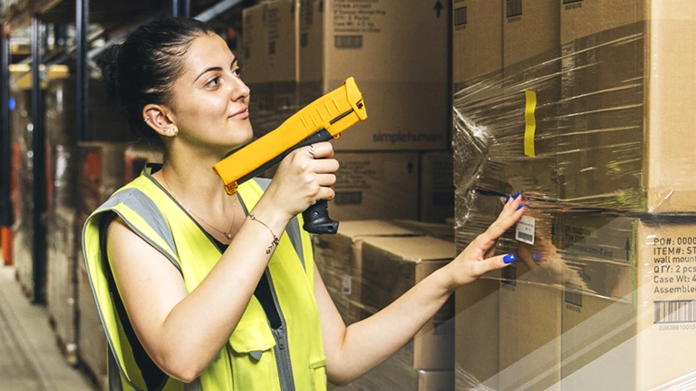 Elevating Warehouse Visibility and Operational Intelligence with Reveal